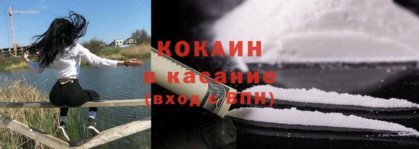 дживик Инта