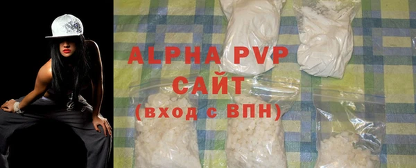 амф Каменногорск
