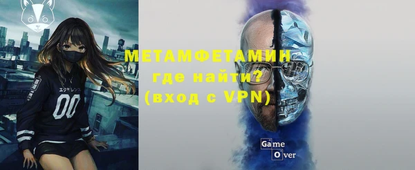 дживик Инта