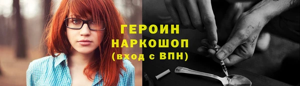 дживик Инта