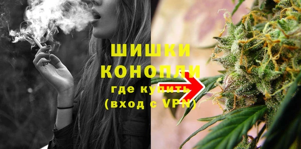 дживик Инта