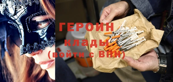 дживик Инта
