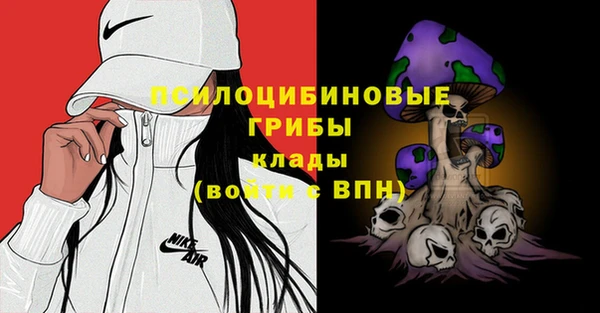 ALPHA PVP Иннополис