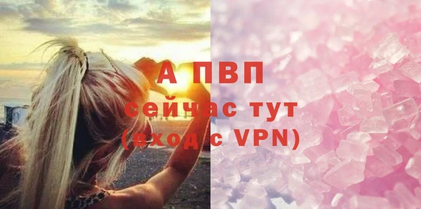 дживик Инта