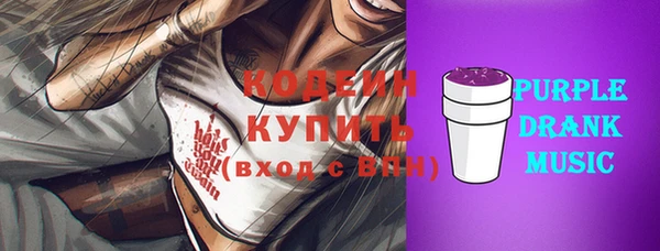 дживик Инта